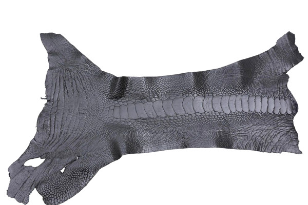 ETUI NEW MODEL size1 CUSTOM, ostrich leg leather