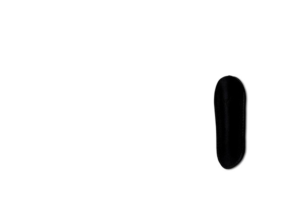 TASCHENETUI